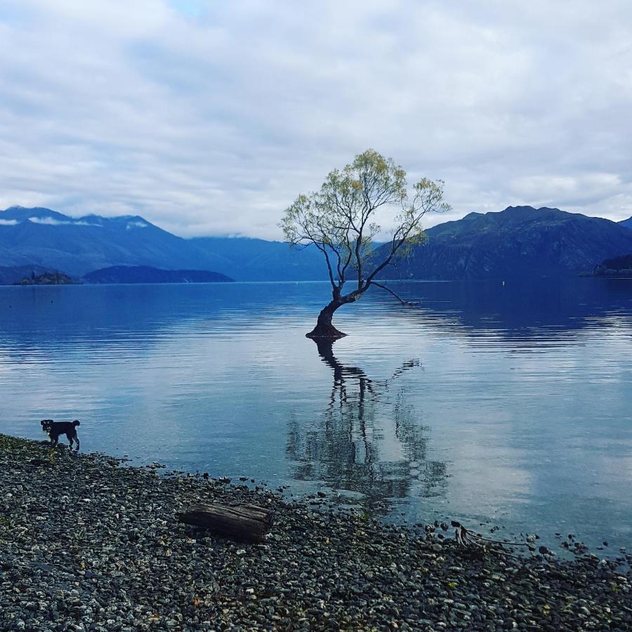 Alto On Hedditch Wanaka Exteriér fotografie